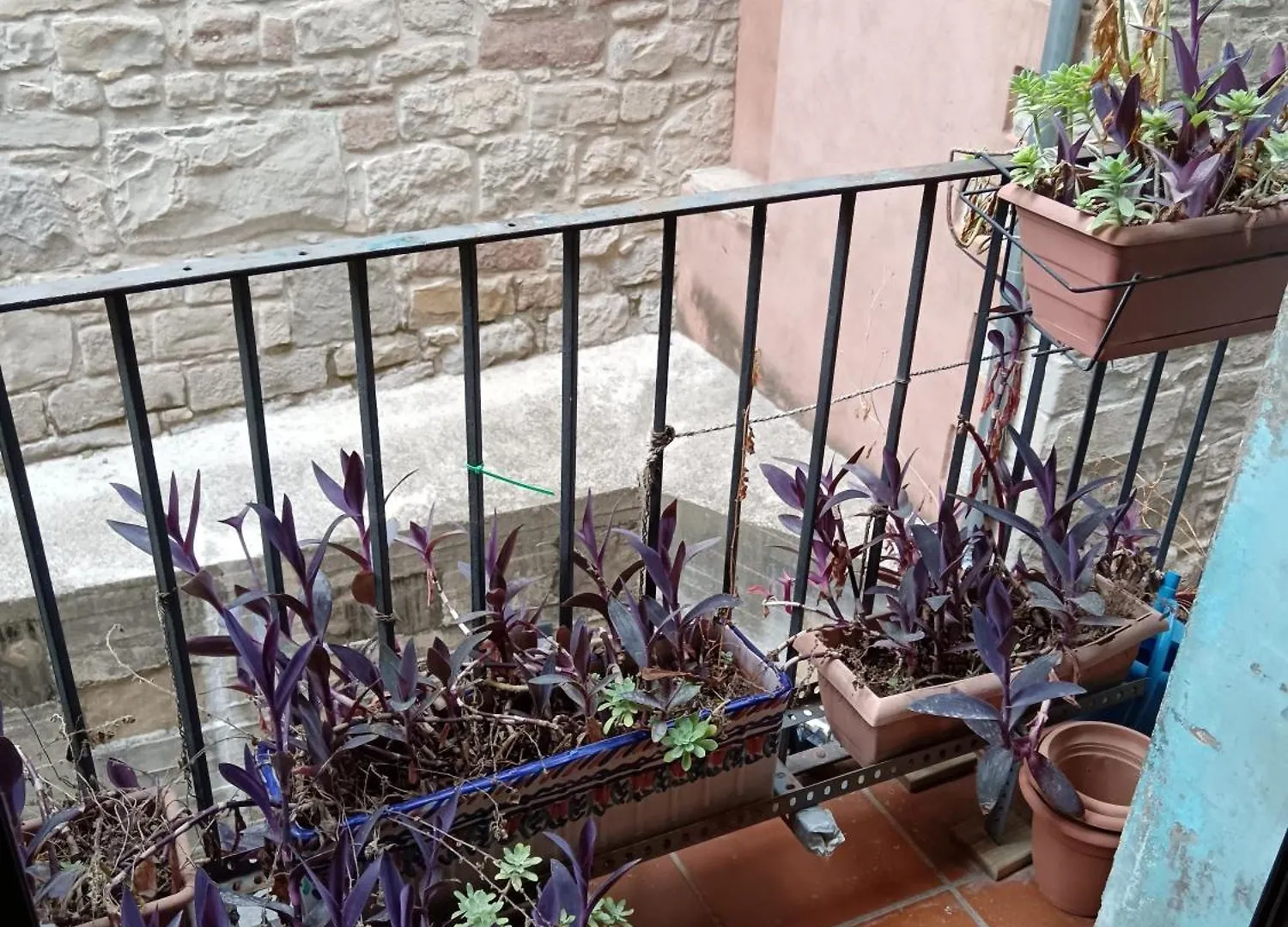 דירות Monistrol de Montserrat Ca La Fiona